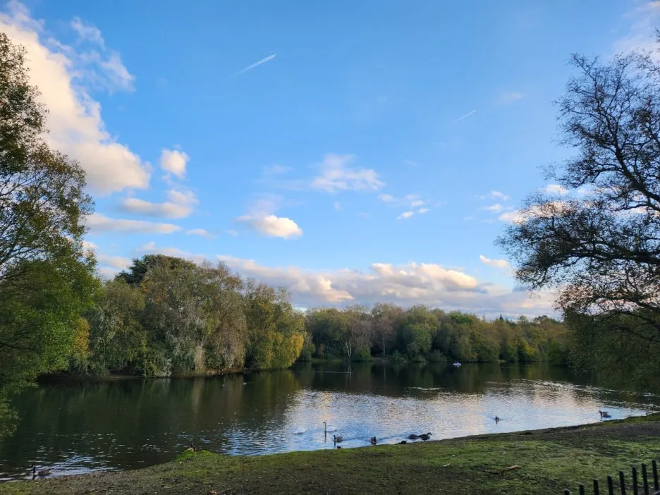 KakaoTalk_20241113_142116852_09.jpg?type=w1