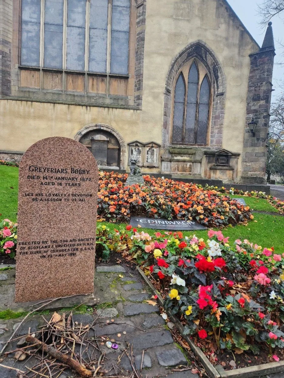 20241025_164130.jpg?type=w1