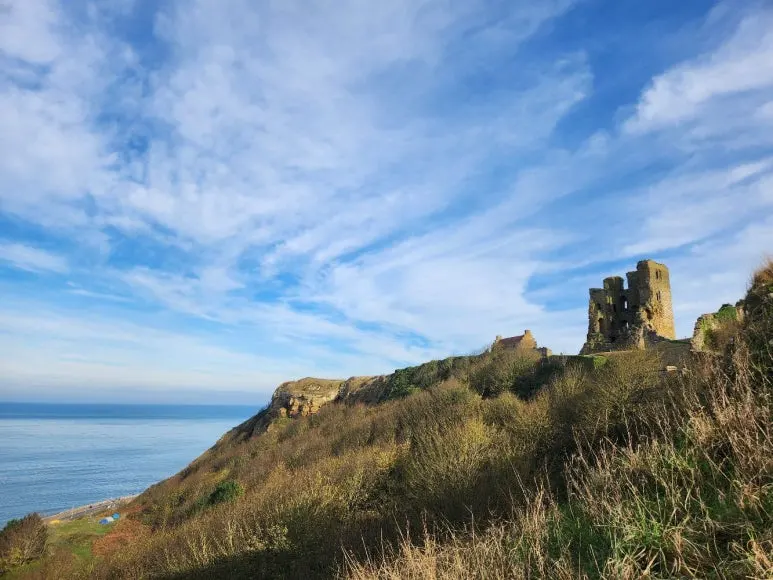 20241101_122922.jpg?type=w773