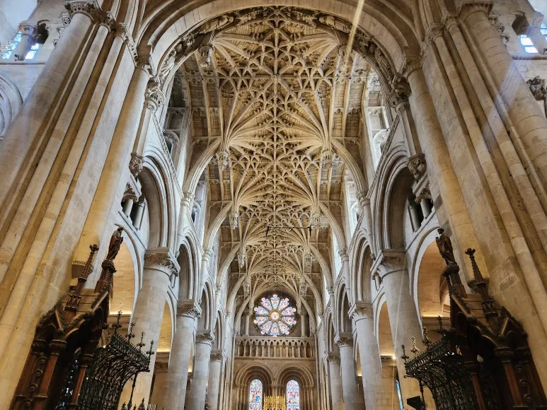 20241029_112707.jpg?type=w773