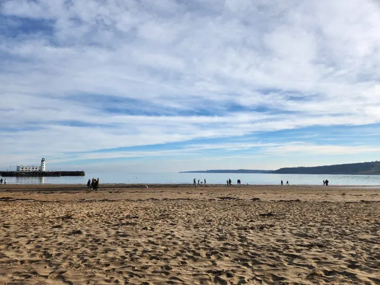 20241101_131238.jpg?type=w773