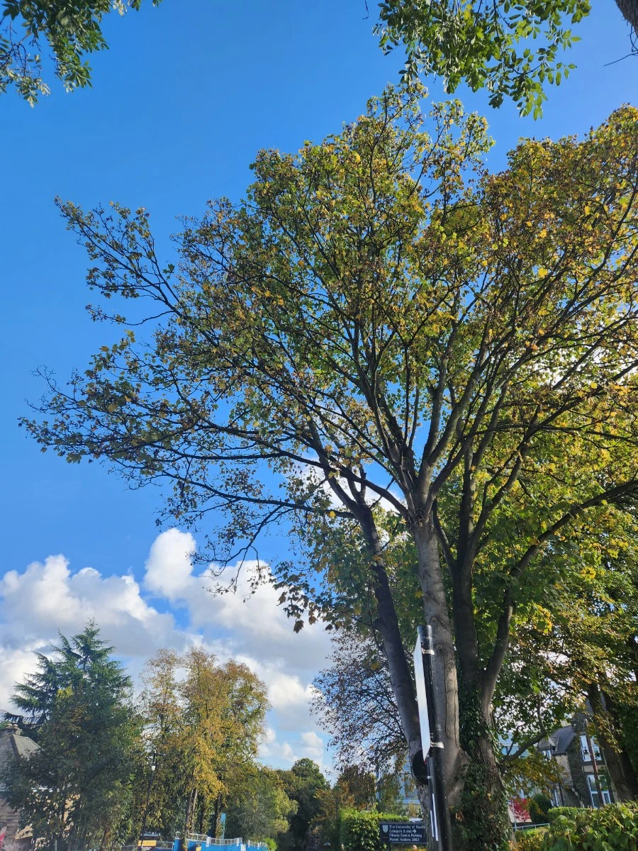 KakaoTalk_20241017_120629961.jpg?type=w1