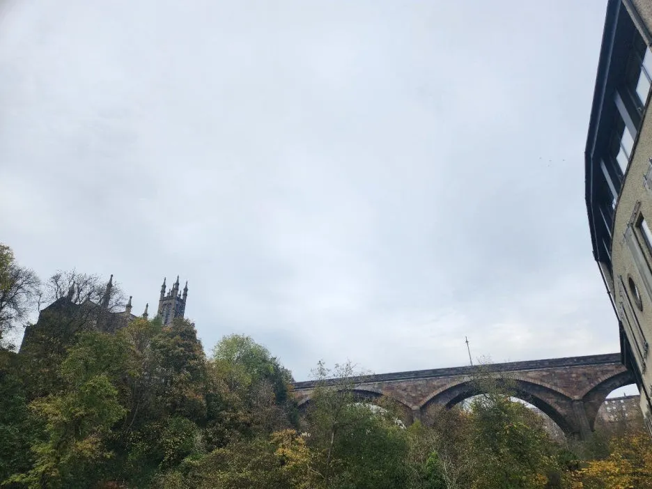 20241025_101635.jpg?type=w1