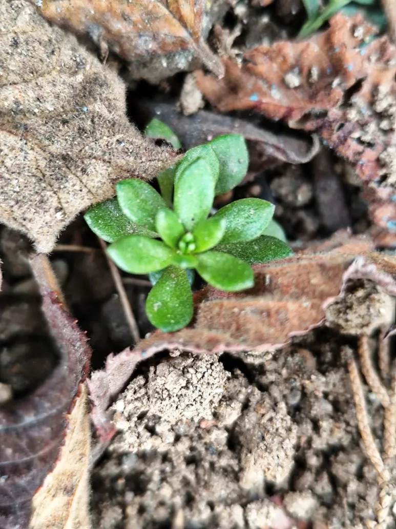 KakaoTalk_20250324_102352351.jpg?type=w773