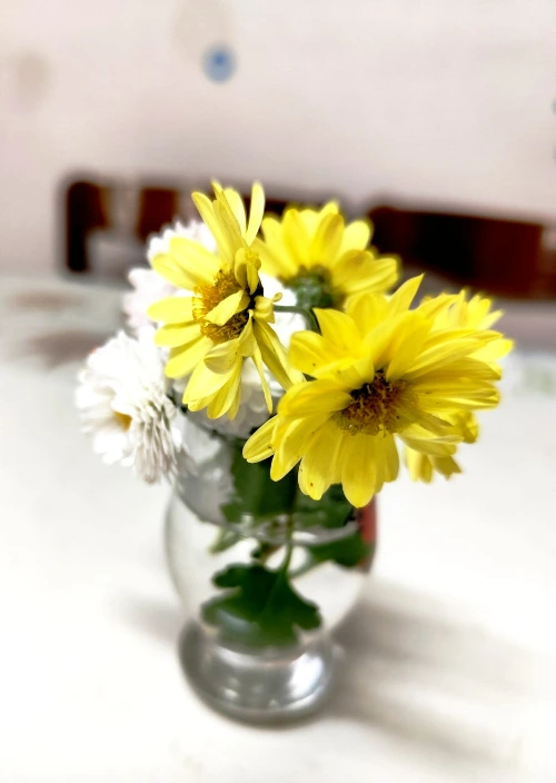 %EC%8B%9D%ED%83%81_%EA%B5%AD%ED%99%94_2.jpg?type=w1