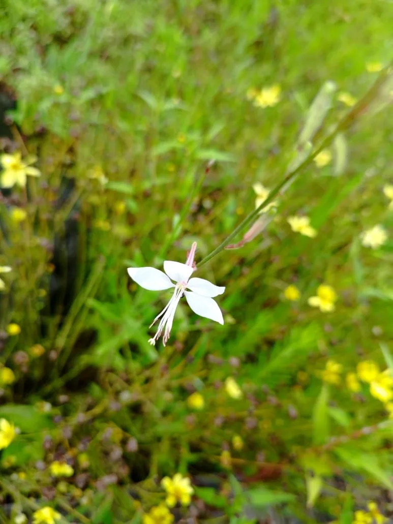 KakaoTalk_20240725_084435828.jpg?type=w773