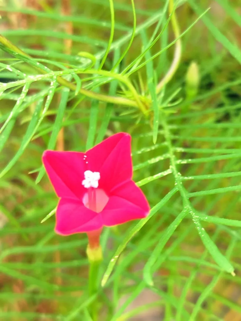 0922_%EB%91%A5%EA%B7%BC%EC%9E%8E%EC%9C%A0%ED%98%B8%EC%B4%88.jpg?type=w773