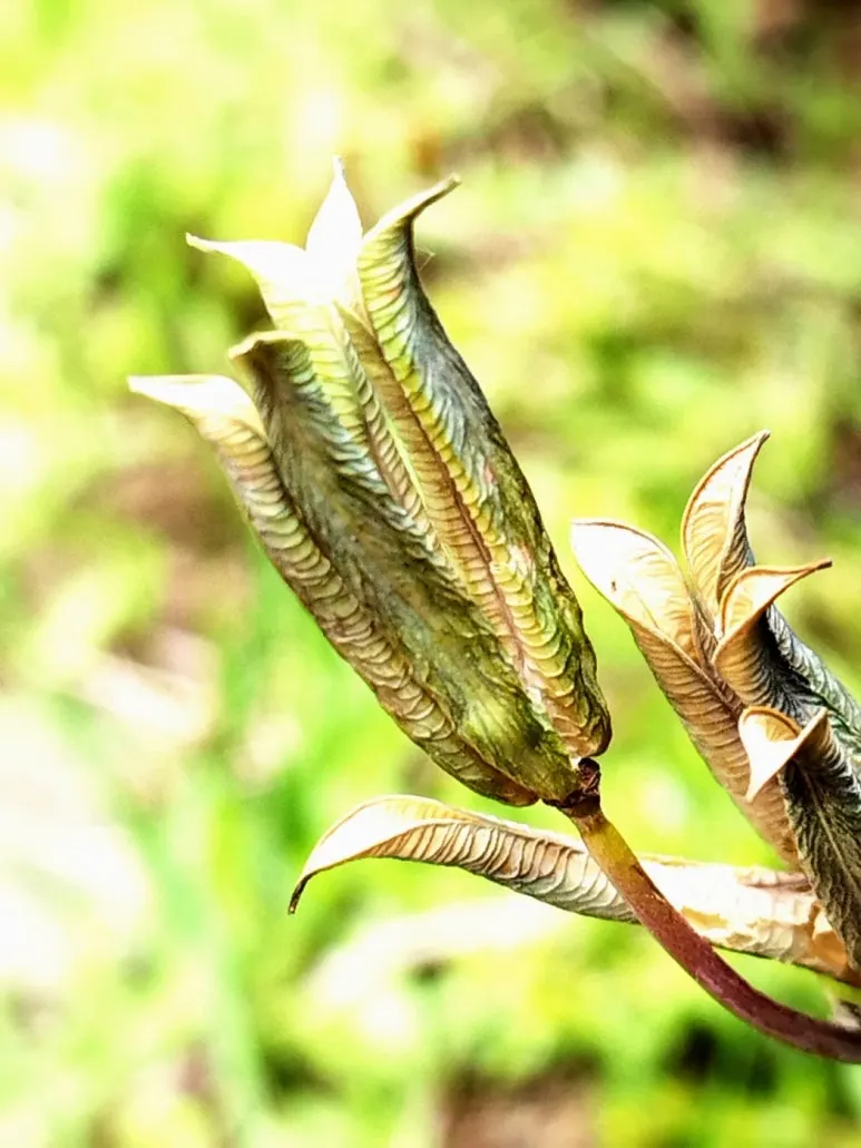 0607_%EB%A7%A4%EB%B0%9C%ED%86%B1_%EC%94%A8%EC%95%97_%EC%A3%BC%EB%A8%B8%EB%8B%88.jpg?type=w773