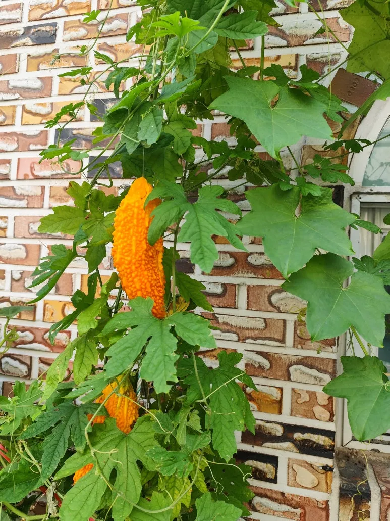 %EC%97%AC%EC%A3%BC.jpg?type=w773