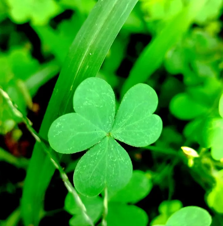 KakaoTalk_20241006_125225392.jpg?type=w773