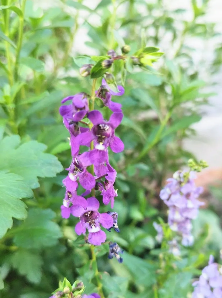 SE-08b98dd6-090b-4797-af6e-10f24cf27a4a.jpg?type=w773