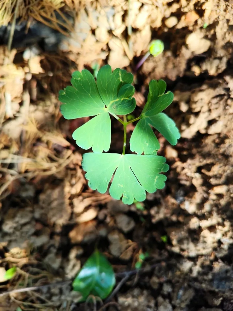 KakaoTalk_20250411_104127937_01.jpg?type=w773