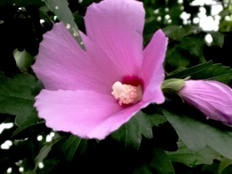 KakaoTalk_20240706_091742521.jpg?type=w773