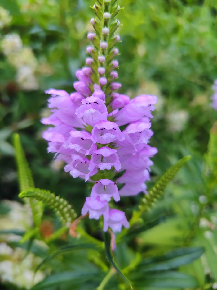 SE-36d62c80-722d-4384-b742-ec1d575c6a24.jpg?type=w773