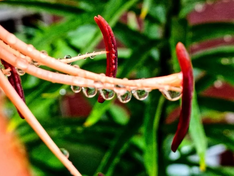 KakaoTalk_20240708_073300294.jpg?type=w773