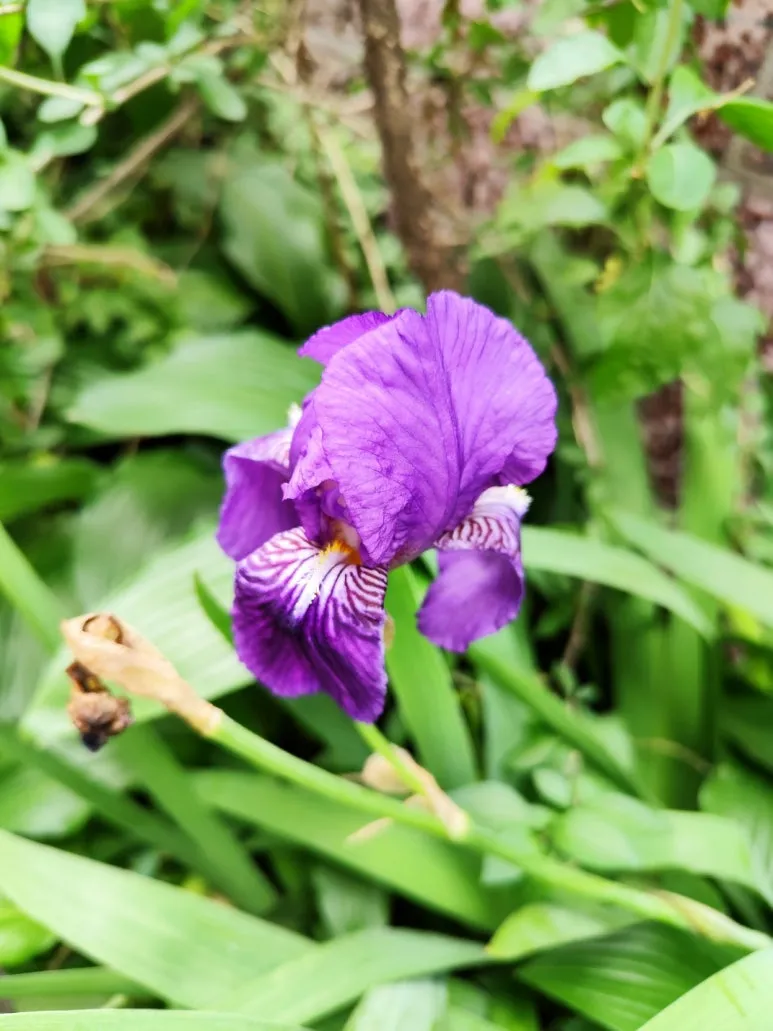 %EC%97%AC%EA%B4%80%EC%95%9E_%EA%BD%83.jpg?type=w773