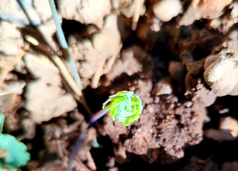 KakaoTalk_20250411_104127937_02.jpg?type=w773