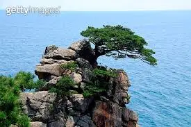 images_(2).jpg?type=w773