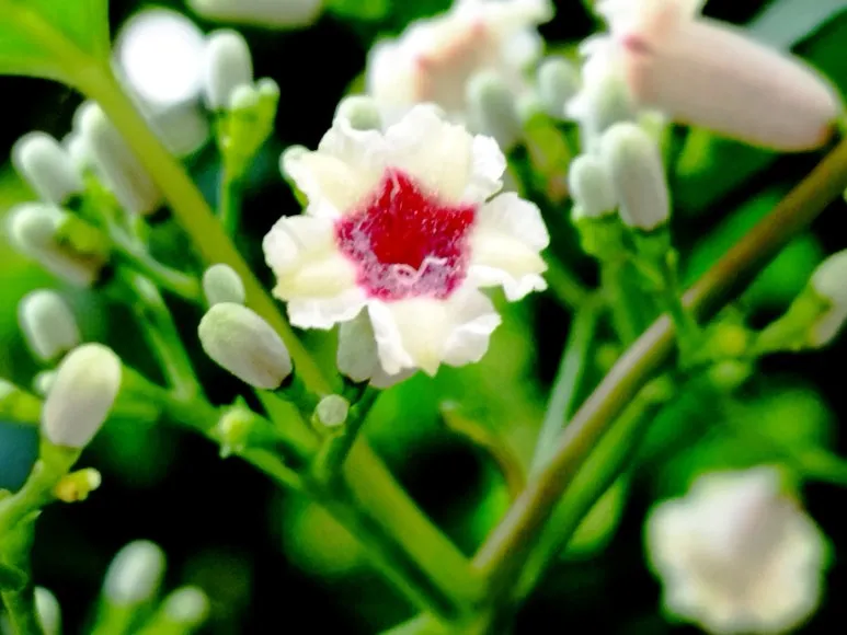 KakaoTalk_20240714_085037732.jpg?type=w773