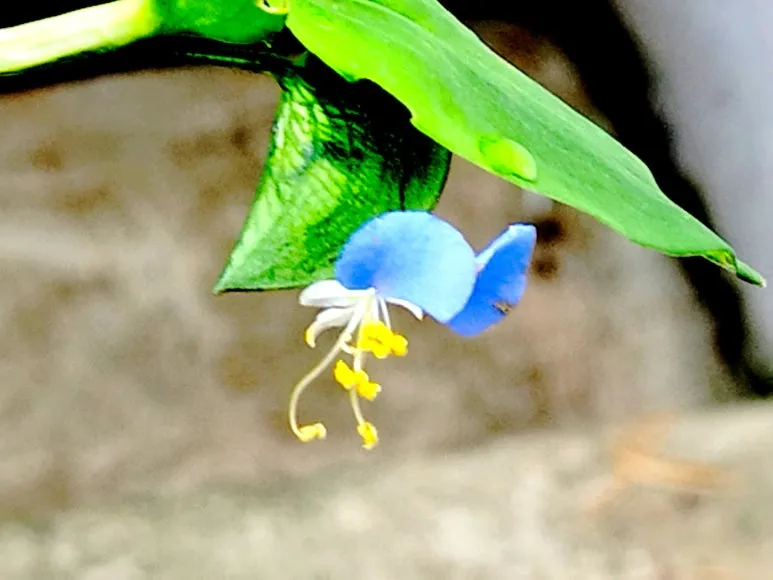 KakaoTalk_20240701_100857915.jpg?type=w773