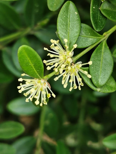 SE-46625ca6-d5c8-4546-a245-00dc977aa258.jpg?type=w773