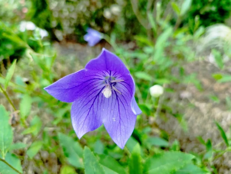 KakaoTalk_20240801_084723665.jpg?type=w773