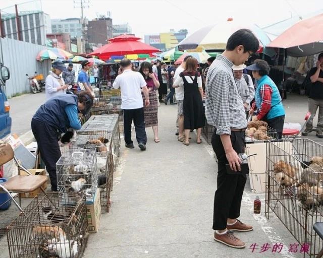 다운로드 (3).jfif