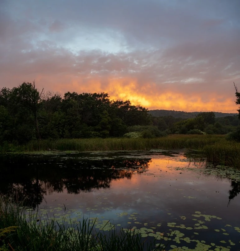 photo-1629046207155-ff71bdf3eced.jpg?type=w773