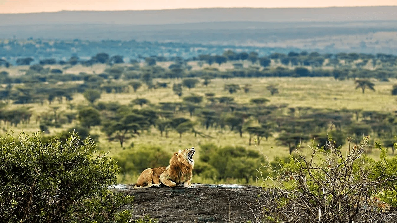 di0SRG7gET2qtJZAKyVT81pSayQ.png?width=1600&height=900