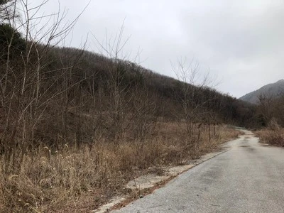 IMG_7357.JPG?type=w1600