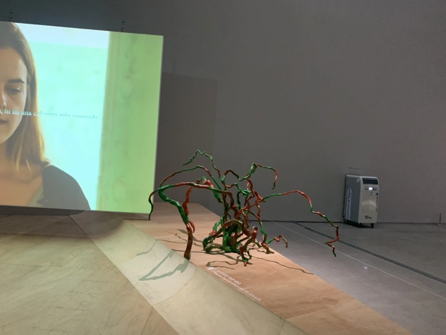 IMG_1324.jpg?type=w966