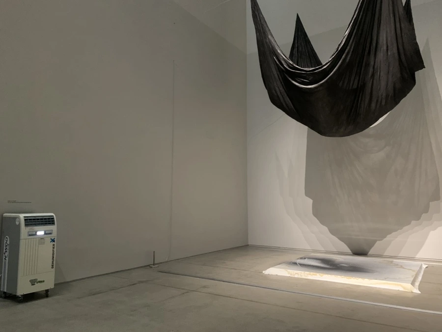 IMG_1350.jpg?type=w966