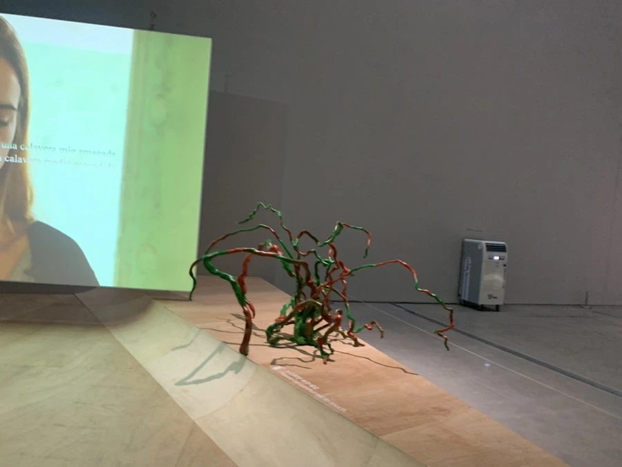 IMG_1323.jpg?type=w966