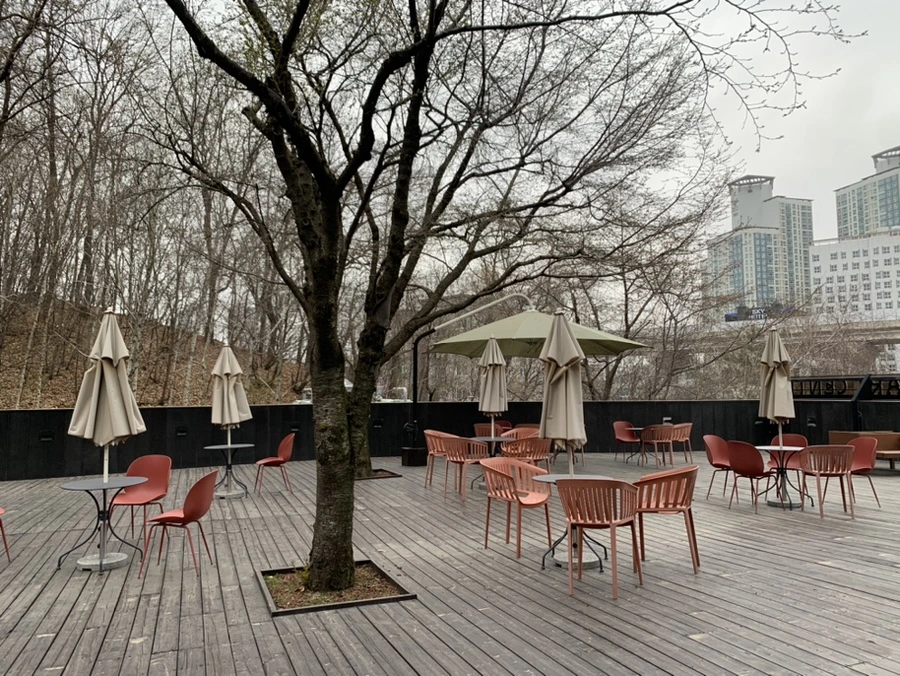 IMG_1508.jpg?type=w966