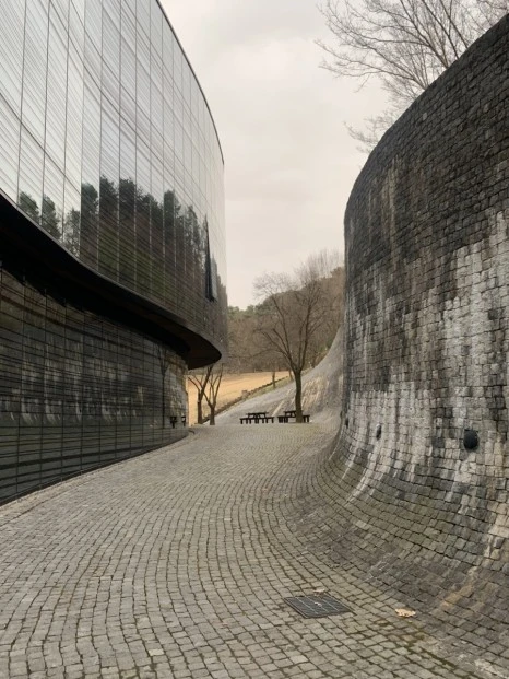 IMG_1509.jpg?type=w466