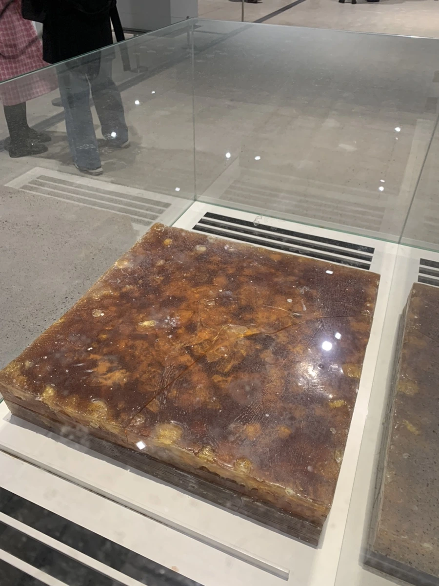 IMG_1345.jpg?type=w966