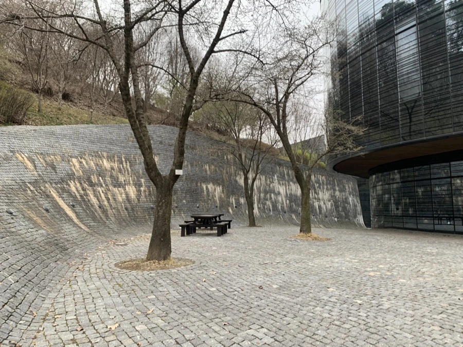 IMG_1515.jpg?type=w966