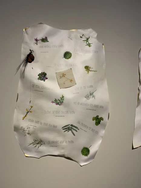 IMG_1360.jpg?type=w466