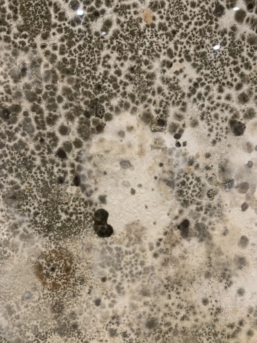 IMG_1348.jpg?type=w966