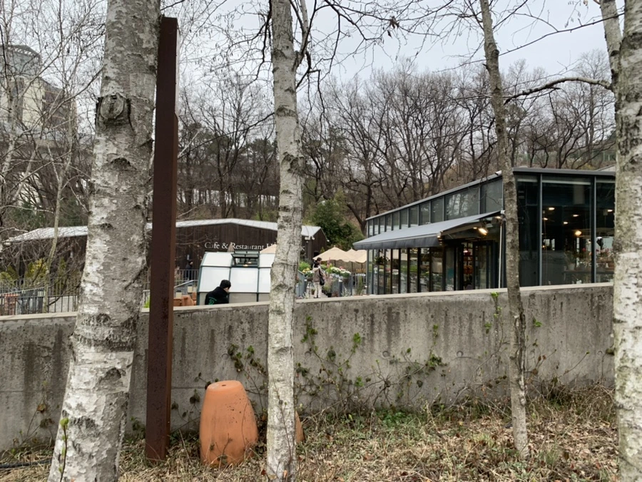 IMG_1518.jpg?type=w966