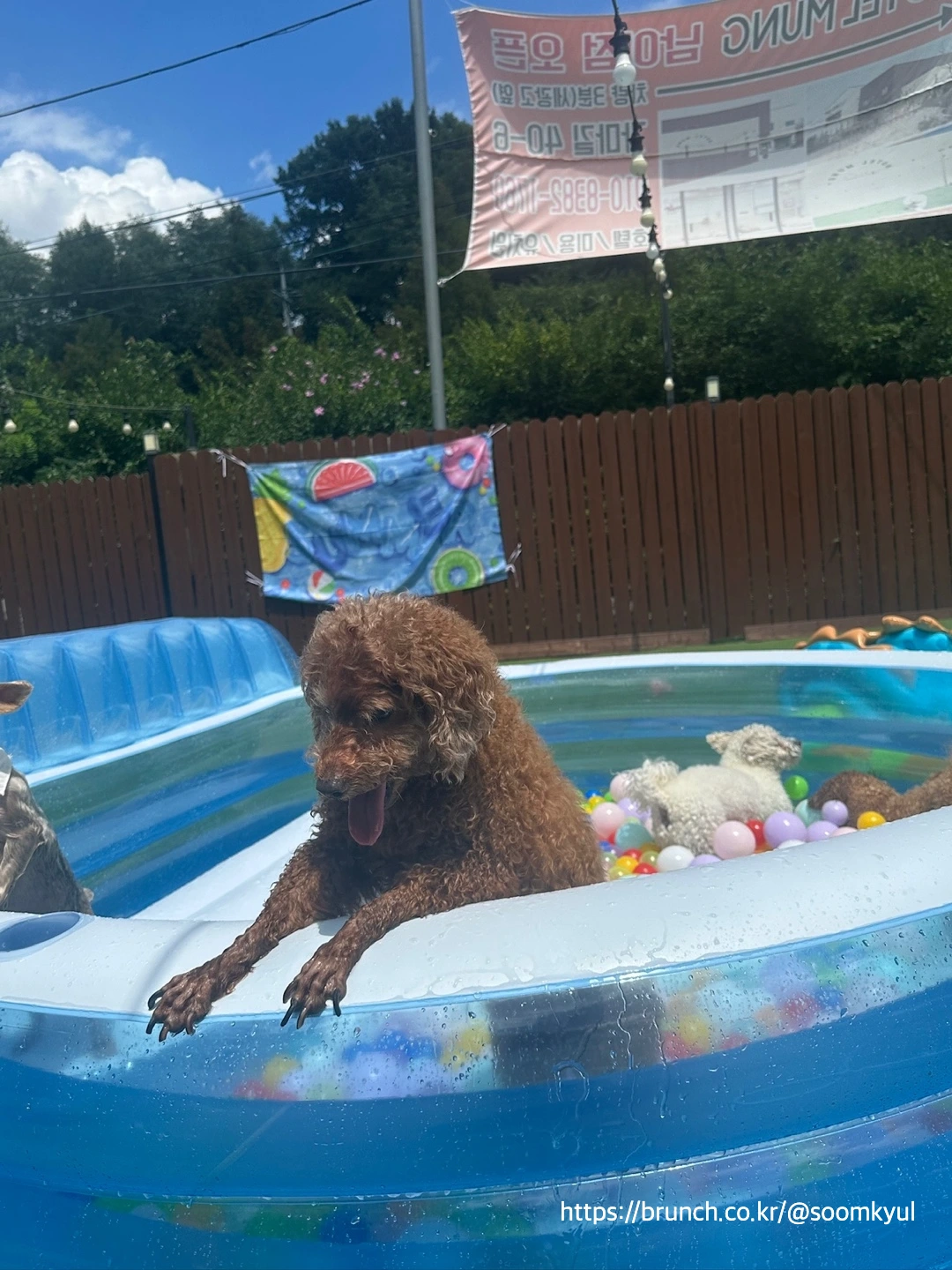 KakaoTalk_Photo_2025-08-07-23-27-16 001.jpeg