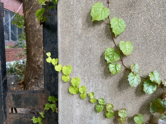 IMG_8959.jpg?type=w580