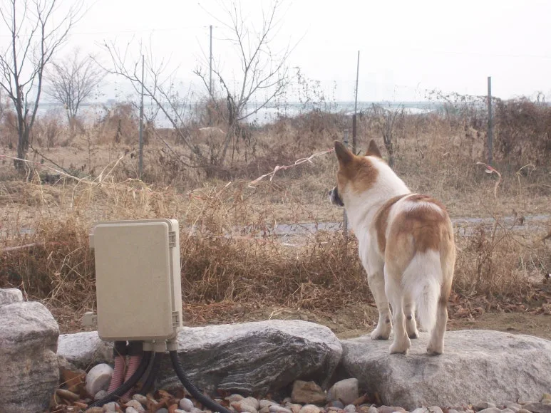 100_0714.JPG?type=w773