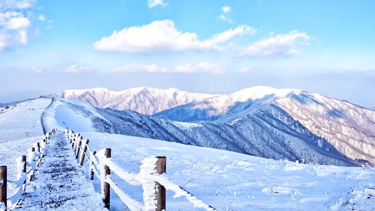 sobaeksan-winter-mountain-climbing1.webp