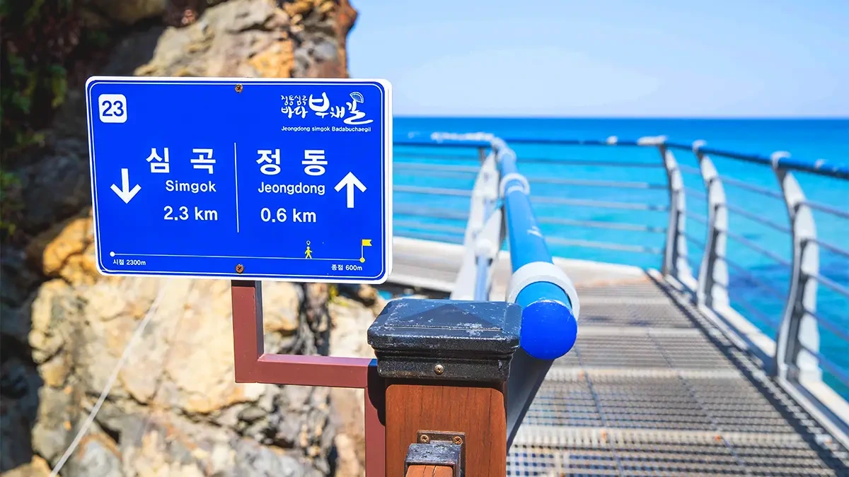 gangneung-jeongdong-simgok-badabuchaegil-coastal-trail4.webp
