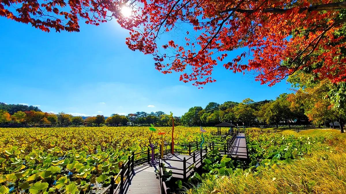 jinju-gangju-pond-eco-park-3.webp
