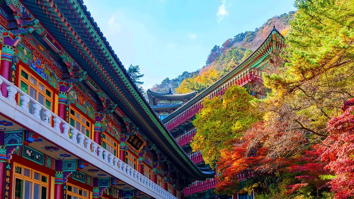 Danyang-Guinsa-Temple-Autumn-Foliage-Trip-4.webp