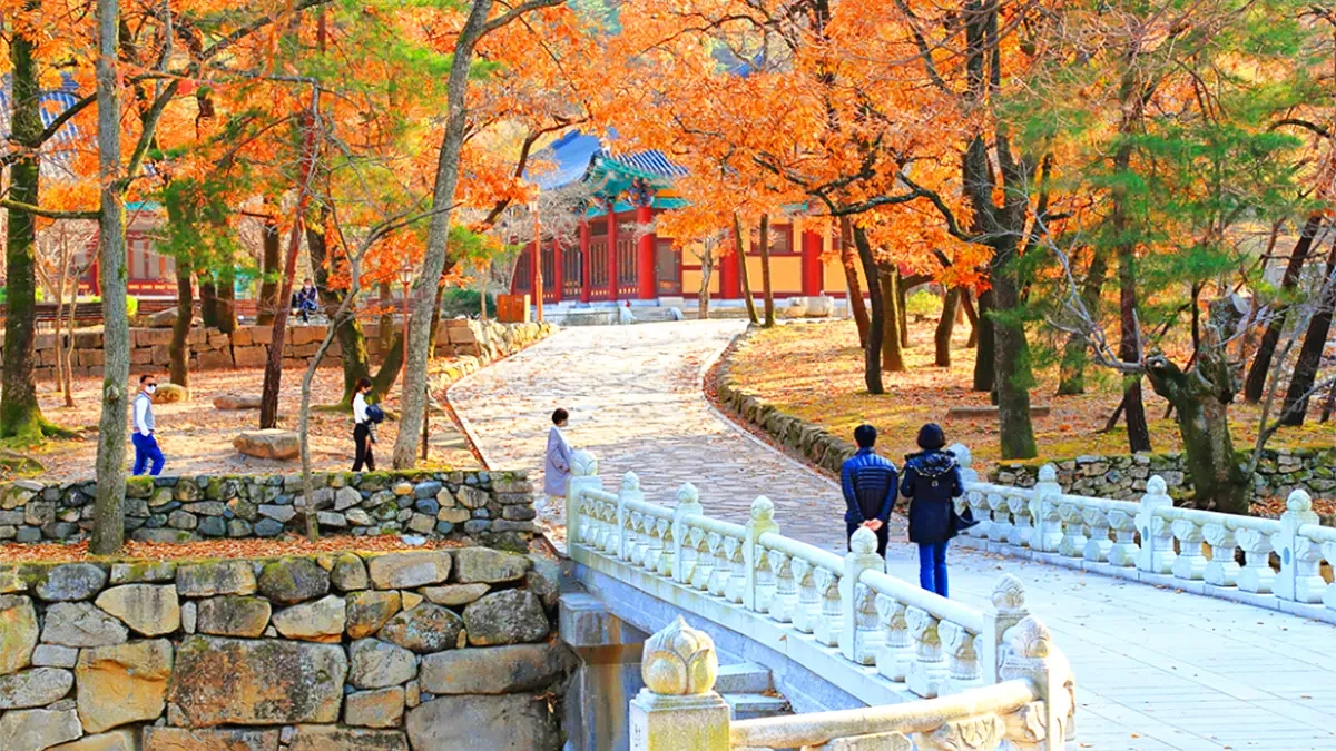 yangsan-tongdosa-autumn-leaves3.webp