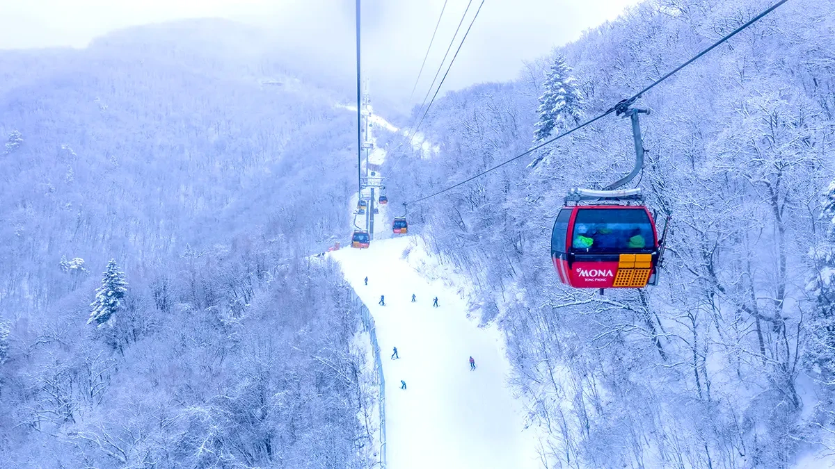balwangsan-gi-skywalk-highest-observatory-winter2.webp