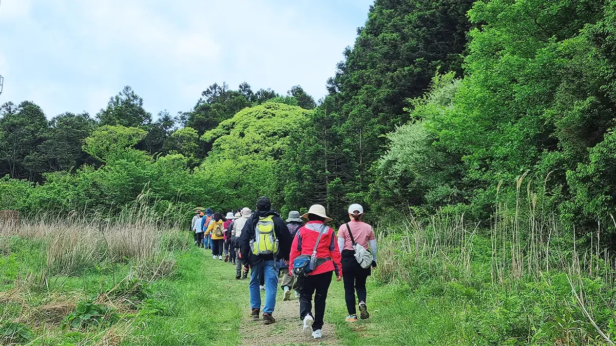 jeju-geomunoreum-yongamgil-trekking2.webp
